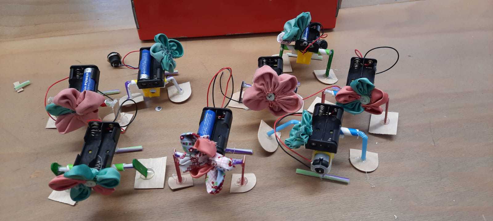 Workshops on robotics and coding